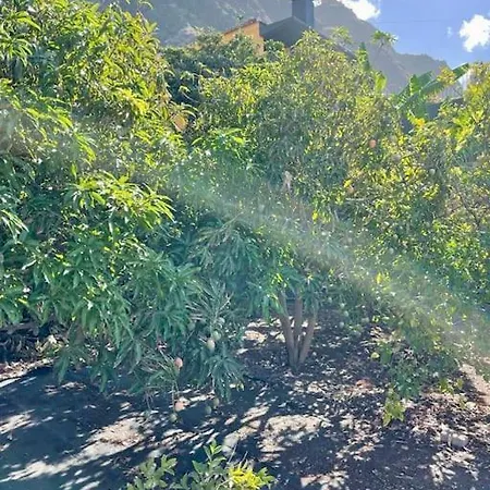 Vakantiehuis Casa Mabu By Your Madeira