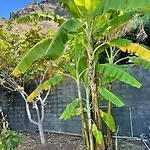 Casa Mabu By Your Madeira * Paul do Mar (Madeira)