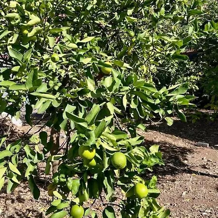 Casa Mabu By Your Madeira Дом отдыха