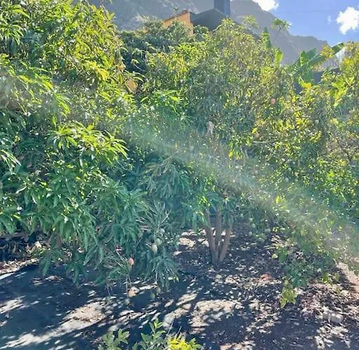 Tatil Evi Casa Mabu By Your Madeira